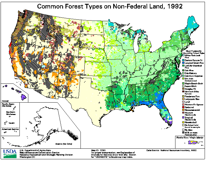 Dispersion of forest trees in the USA