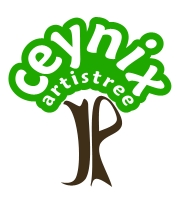 Ceynix Colour Logo